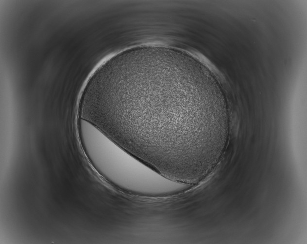 X0000085051240200703051409
