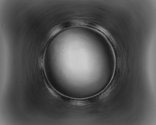 X0000085051241200703051409