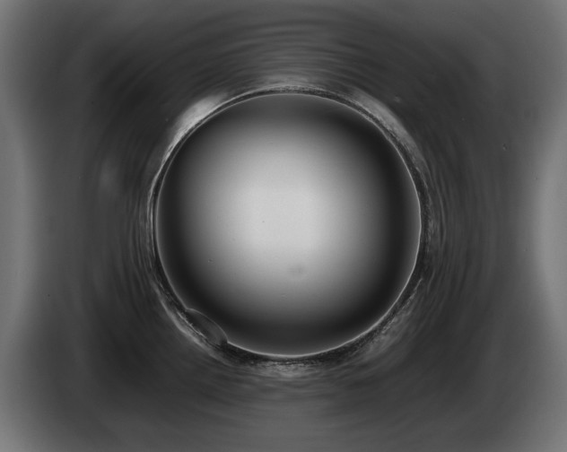 X0000085051242200703051409