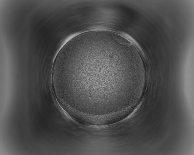 X0000085051244200703051409