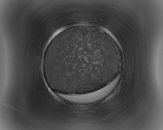 X0000085051245200703051409