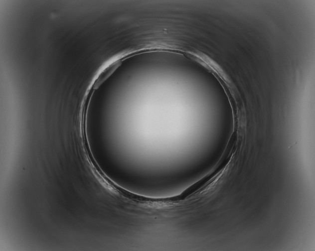X0000085051246200703051409