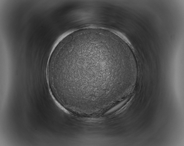 X0000085051247200703051409