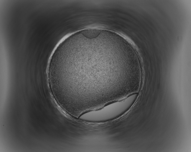 X0000085051248200703051409