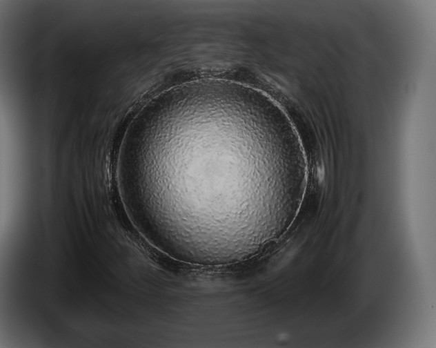 X0000085051252200703051408