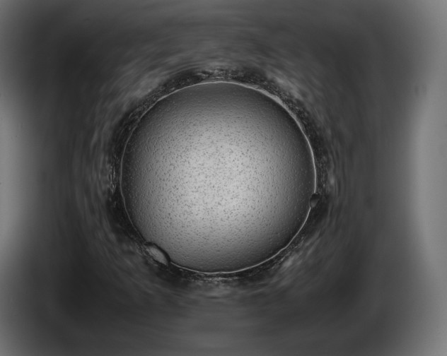 X0000085051253200703051408