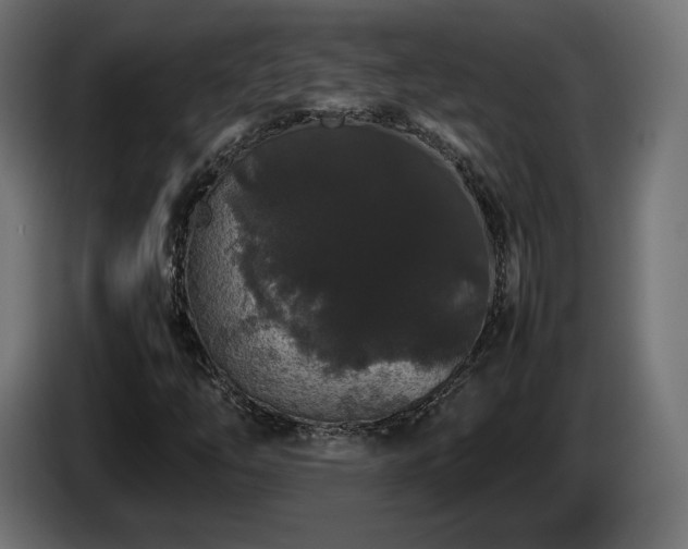 X0000085051254200703051408