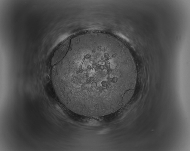 X0000085051255200703051408