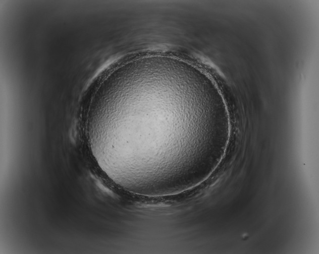 X0000085051256200703051408