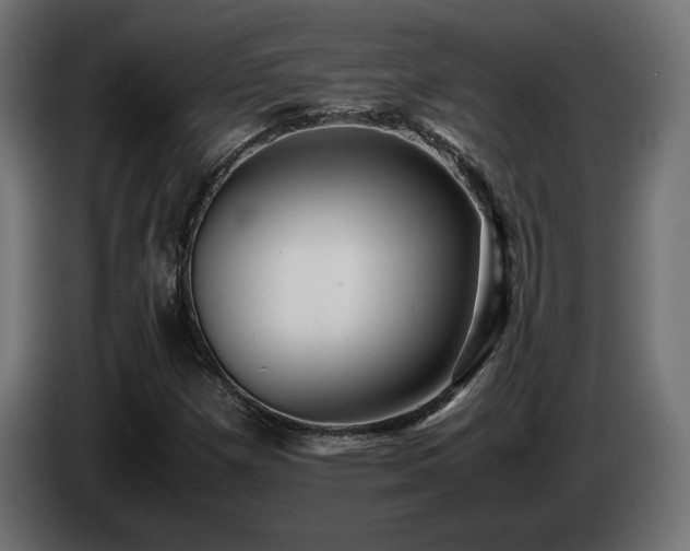 X0000085051257200703051408