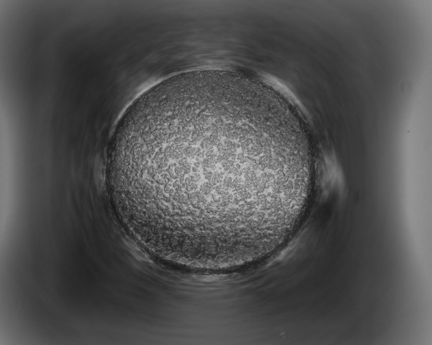 X0000085051260200703051408