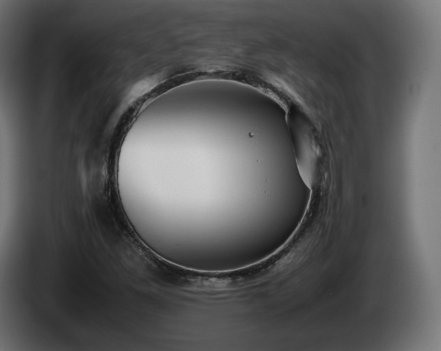 X0000085051261200703051408