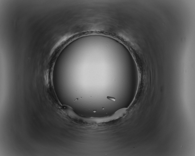 X0000085051262200703051408