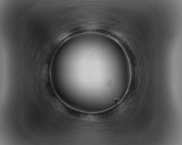 X0000085051265200703051408