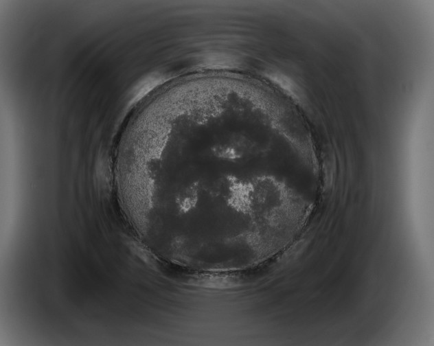 X0000085051266200703051408
