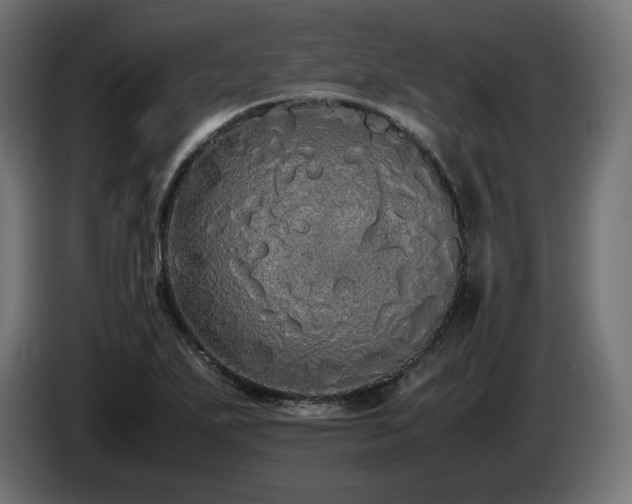 X0000085051271200703051408