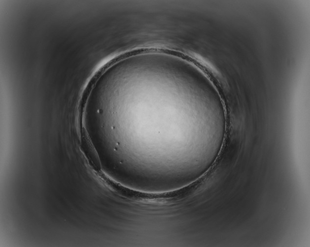 X0000085051272200703051408