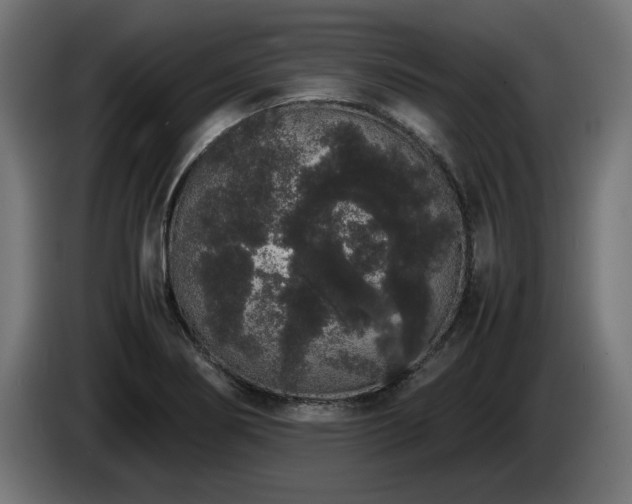 X0000085051274200703051408