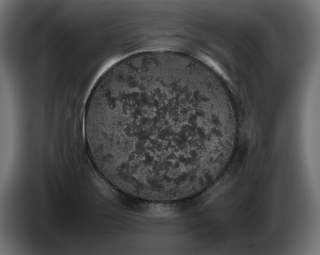 X0000085051275200703051408