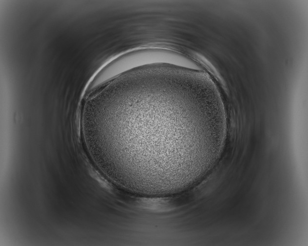 X0000085051276200703051408
