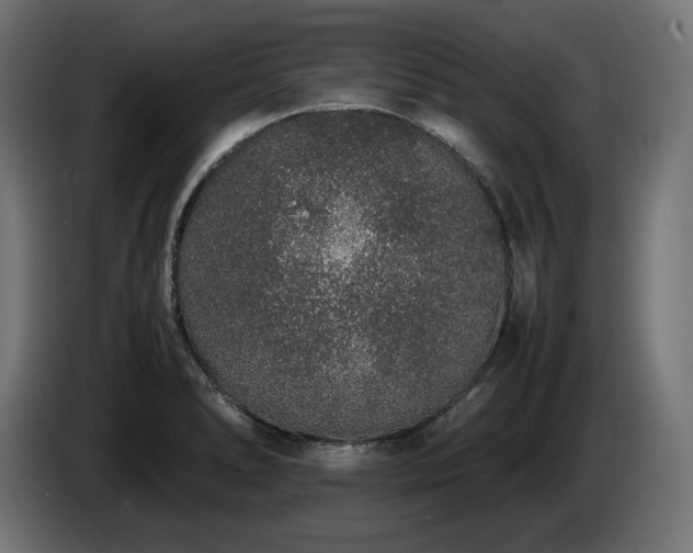 X0000085051278200703051408