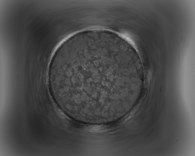 X0000085051279200703051408