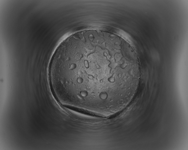 X0000085051283200703051408