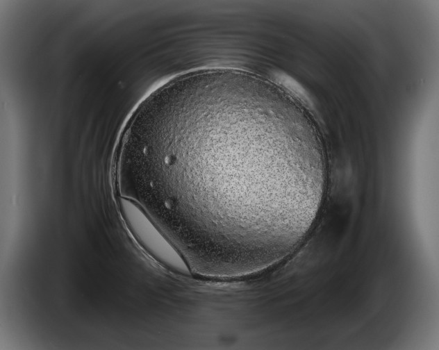 X0000085051284200703051408
