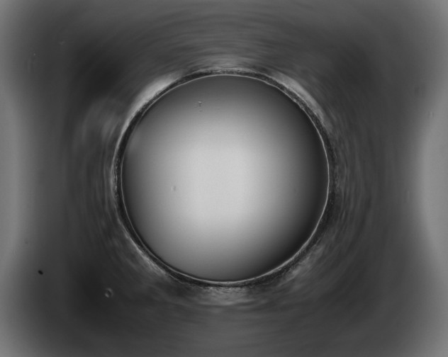 X0000085051285200703051408