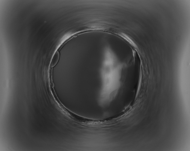 X0000085051291200703051408