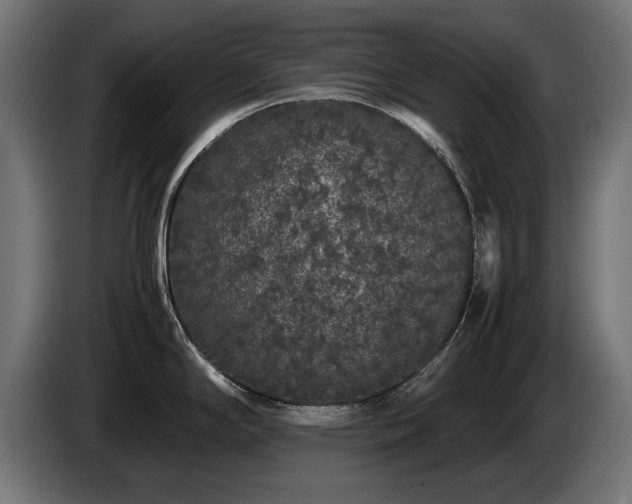 X0000085051294200703051408