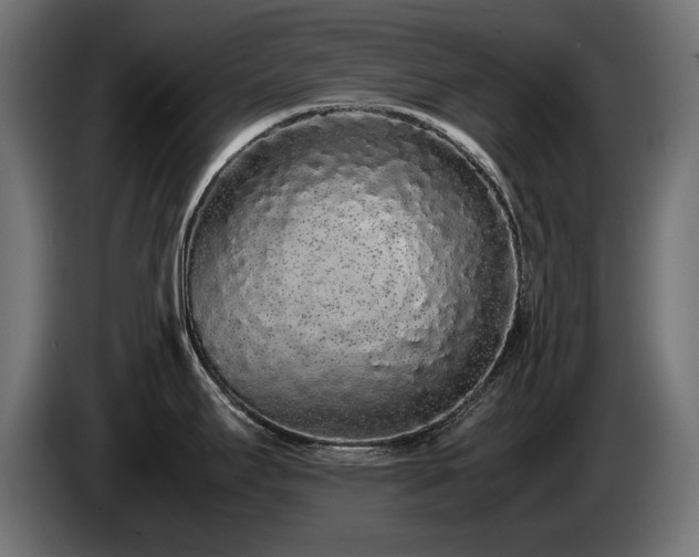 X0000085051295200703051408