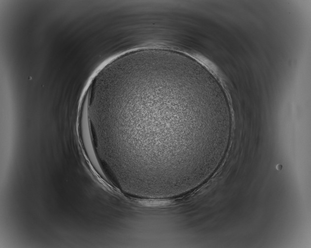 X0000085051296200703051408