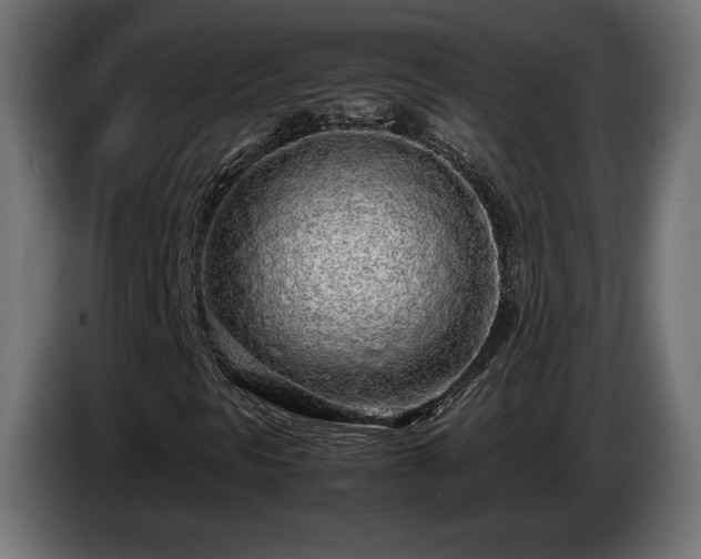 X0000085051297200703051407