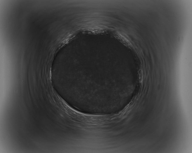 X0000085051298200703051407