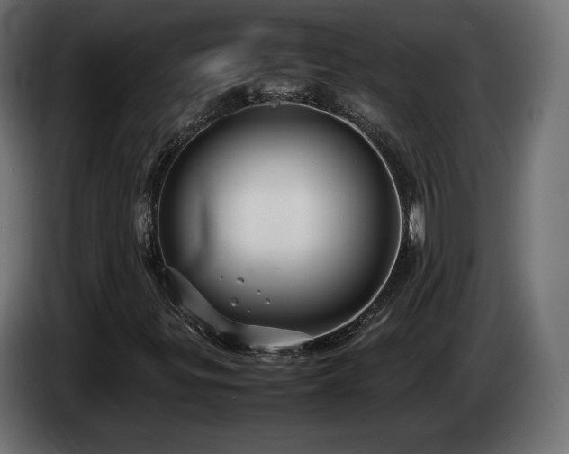 X0000085051299200703051407