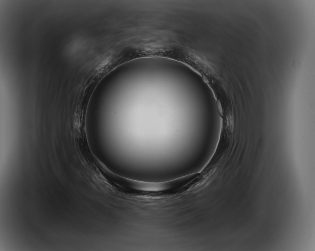 X0000085051300200703051407