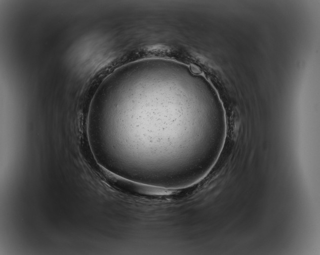 X0000085051301200703051407