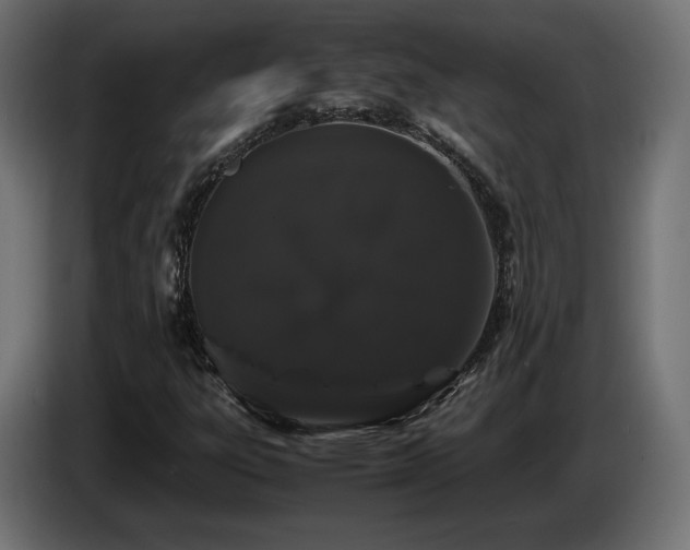 X0000085051303200703051407