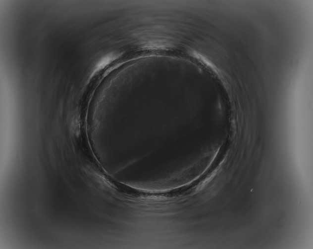 X0000085051306200703051407