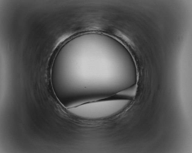 X0000085051308200703051407