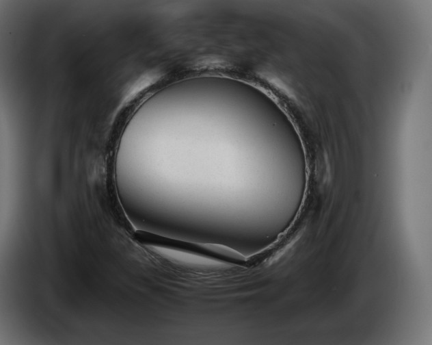 X0000085051309200703051407