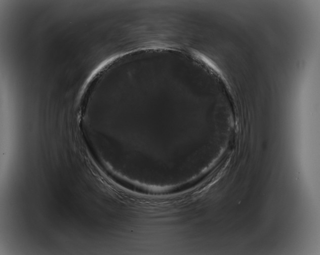 X0000085051310200703051407
