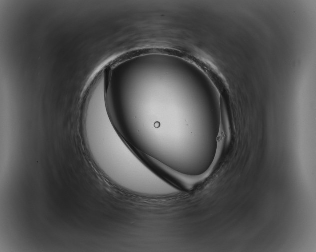 X0000085051312200703051407