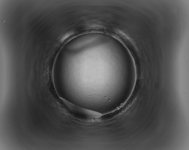 X0000085051313200703051407