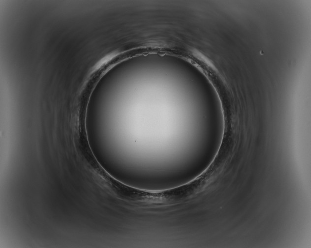 X0000085051315200703051407