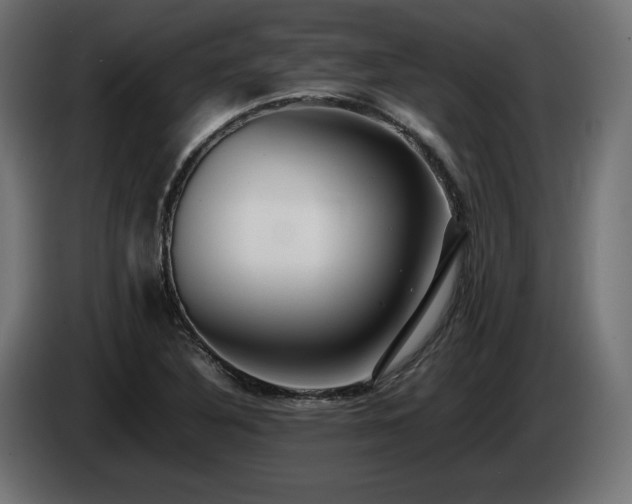 X0000085051316200703051407