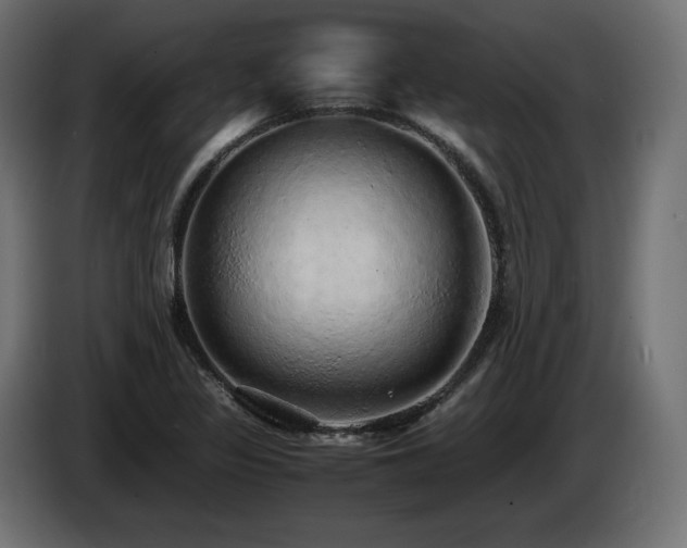 X0000085051317200703051407