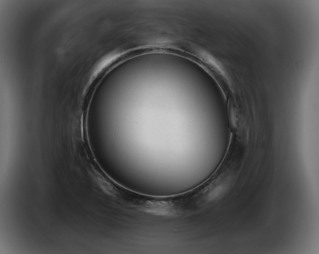 X0000085051320200703051407