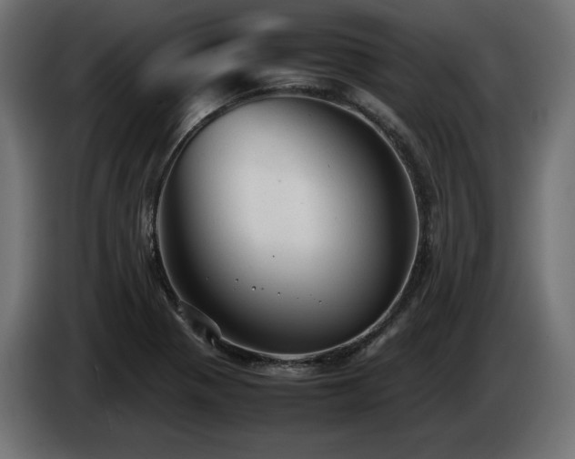 X0000085051321200703051407